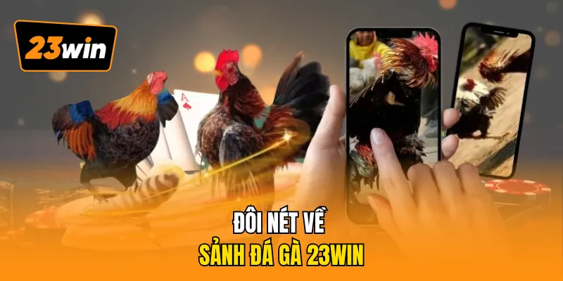 Đôi nét về sảnh đá gà 23WIN