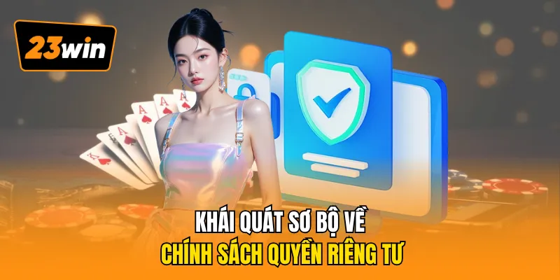 Khái quát sơ bộ về chính sách quyền riêng tư