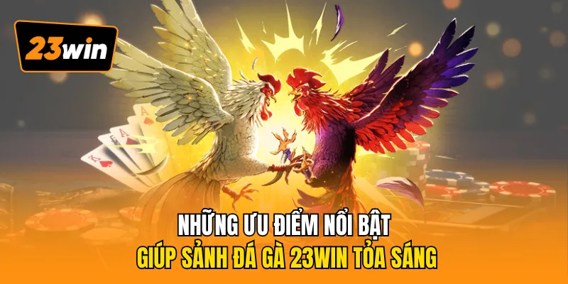 Những ưu điểm nổi bật giúp sảnh đá gà 23WIN tỏa sáng